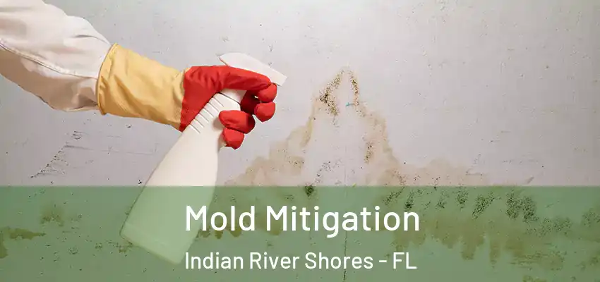  Mold Mitigation Indian River Shores - FL