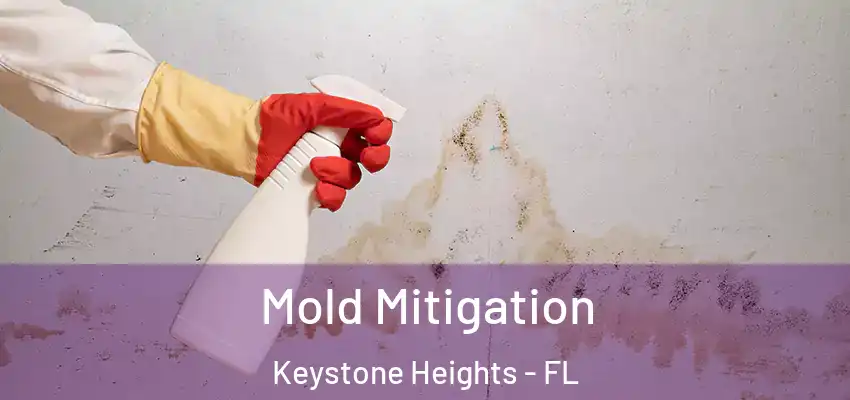 Mold Mitigation Keystone Heights - FL