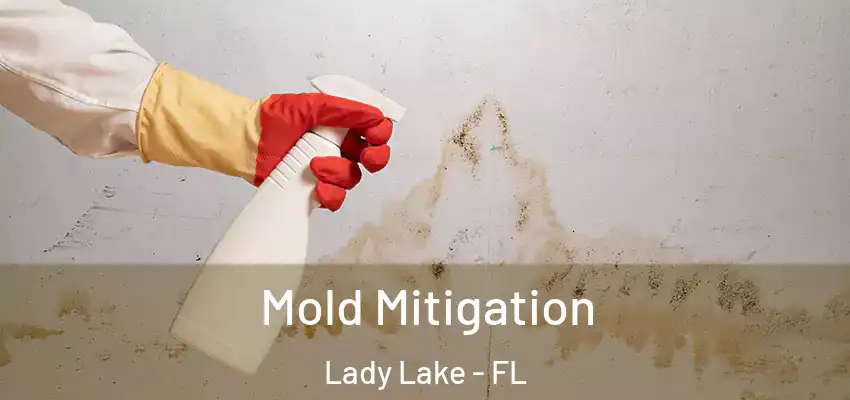  Mold Mitigation Lady Lake - FL