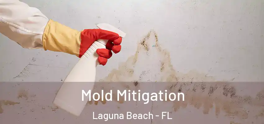  Mold Mitigation Laguna Beach - FL
