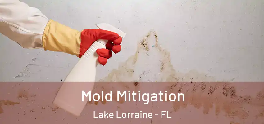  Mold Mitigation Lake Lorraine - FL