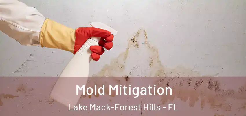  Mold Mitigation Lake Mack-Forest Hills - FL