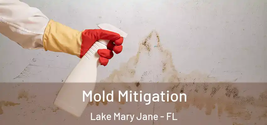 Mold Mitigation Lake Mary Jane - FL