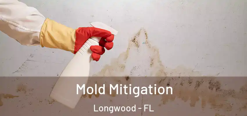 Mold Mitigation Longwood - FL