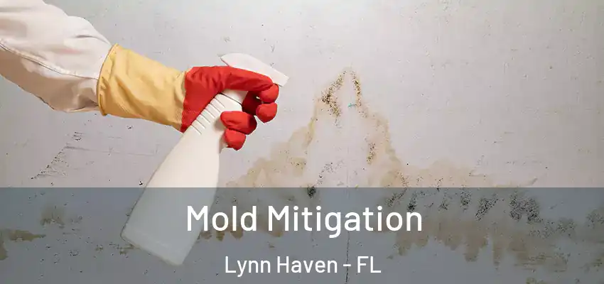  Mold Mitigation Lynn Haven - FL
