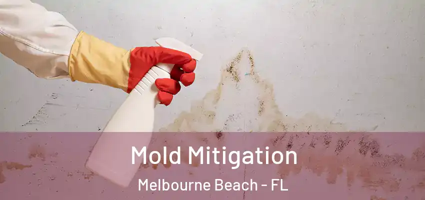 Mold Mitigation Melbourne Beach - FL