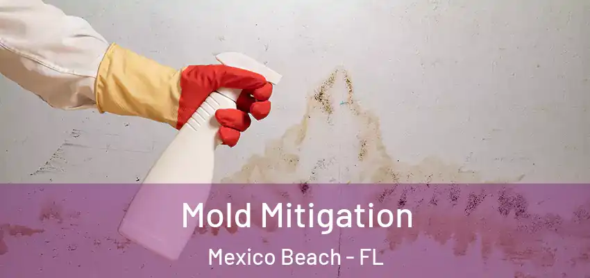  Mold Mitigation Mexico Beach - FL