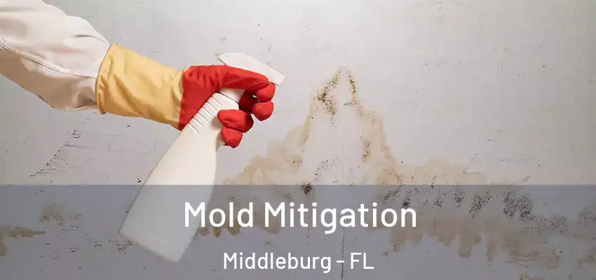  Mold Mitigation Middleburg - FL