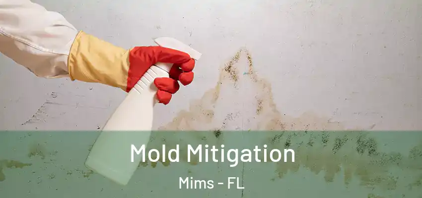  Mold Mitigation Mims - FL