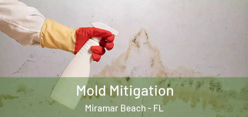  Mold Mitigation Miramar Beach - FL