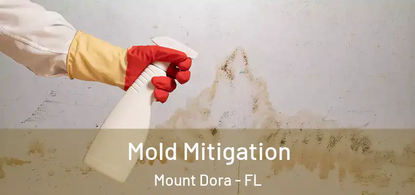  Mold Mitigation Mount Dora - FL