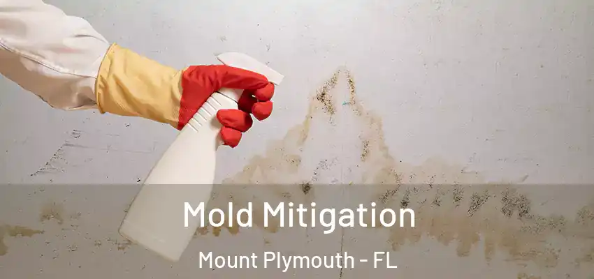 Mold Mitigation Mount Plymouth - FL
