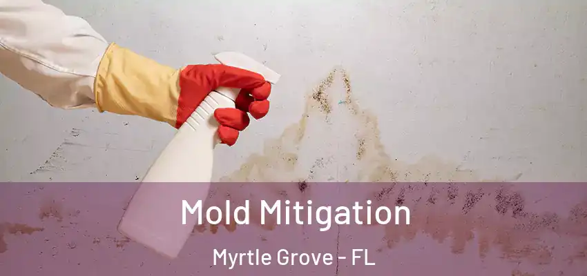  Mold Mitigation Myrtle Grove - FL