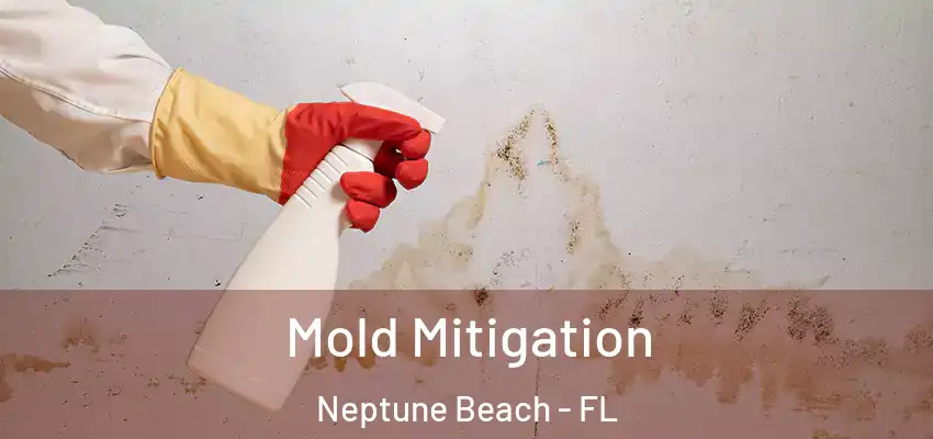 Mold Mitigation Neptune Beach - FL