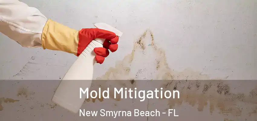 Mold Mitigation New Smyrna Beach - FL