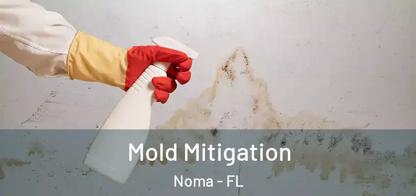  Mold Mitigation Noma - FL