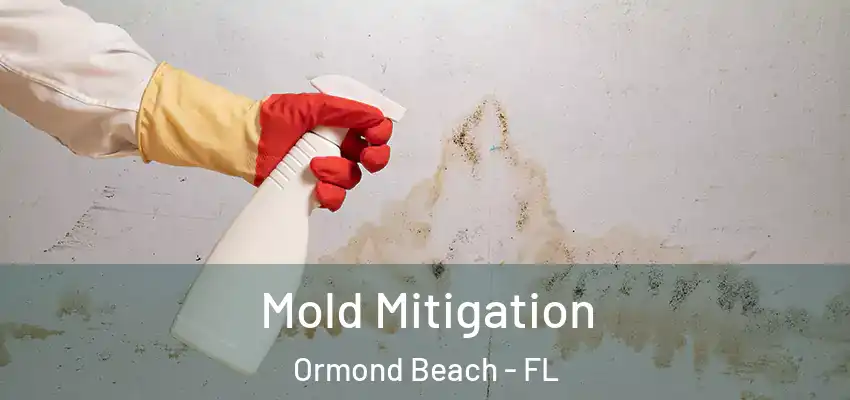  Mold Mitigation Ormond Beach - FL