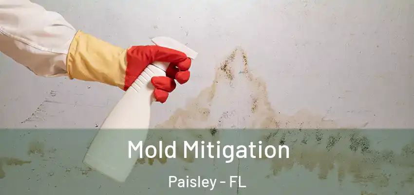 Mold Mitigation Paisley - FL