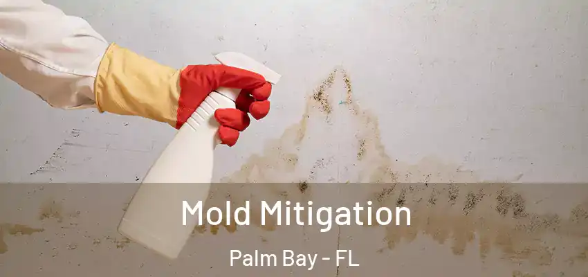 Mold Mitigation Palm Bay - FL