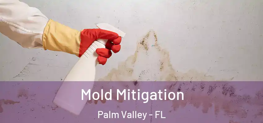  Mold Mitigation Palm Valley - FL