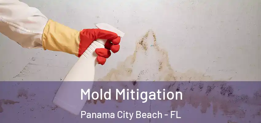 Mold Mitigation Panama City Beach - FL