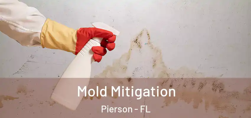  Mold Mitigation Pierson - FL
