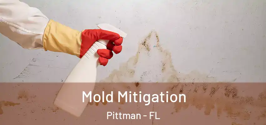  Mold Mitigation Pittman - FL
