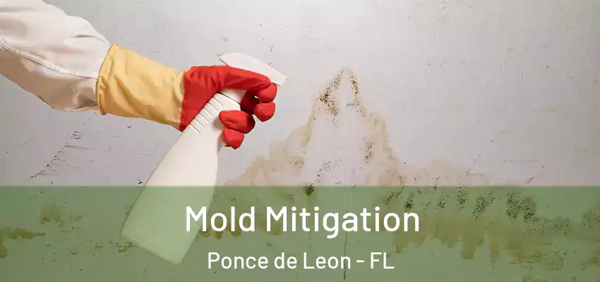  Mold Mitigation Ponce de Leon - FL