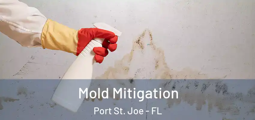  Mold Mitigation Port St. Joe - FL