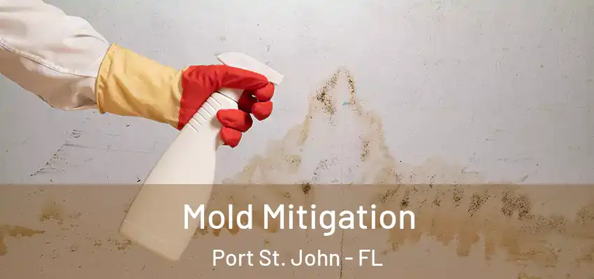  Mold Mitigation Port St. John - FL