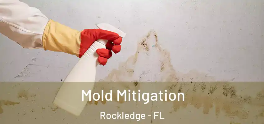 Mold Mitigation Rockledge - FL