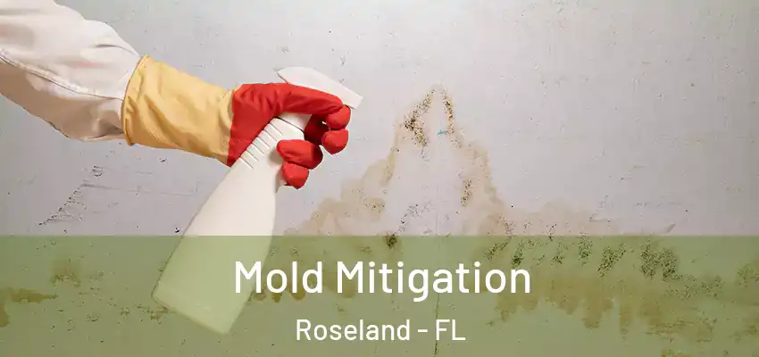  Mold Mitigation Roseland - FL