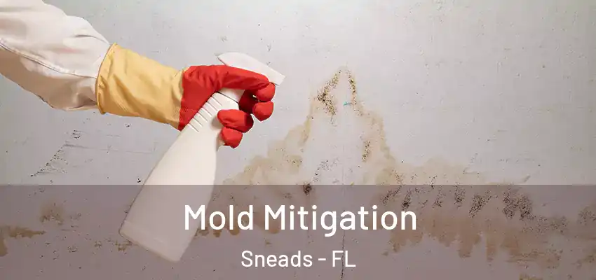  Mold Mitigation Sneads - FL