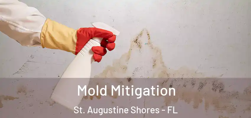  Mold Mitigation St. Augustine Shores - FL
