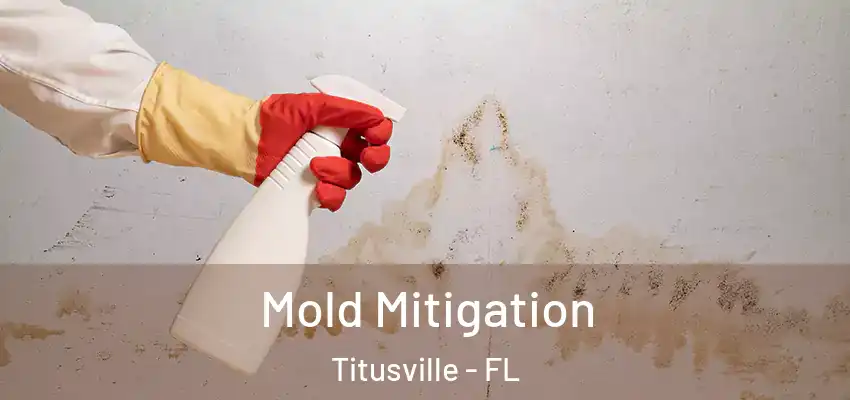  Mold Mitigation Titusville - FL