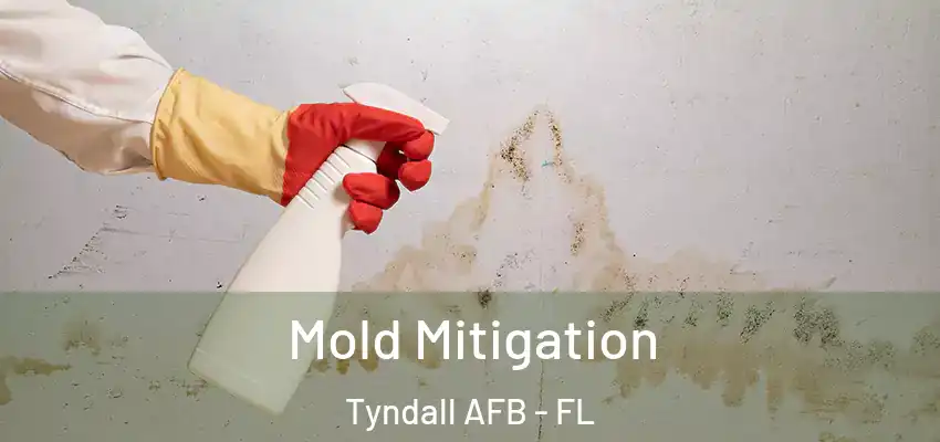  Mold Mitigation Tyndall AFB - FL