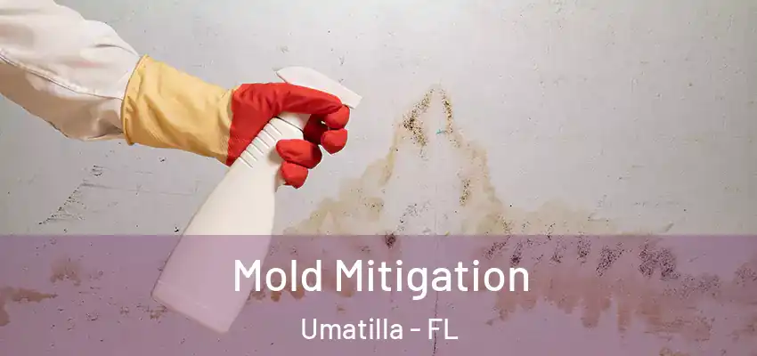  Mold Mitigation Umatilla - FL