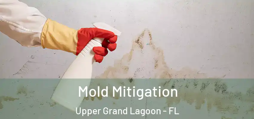  Mold Mitigation Upper Grand Lagoon - FL