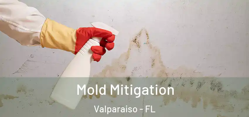 Mold Mitigation Valparaiso - FL