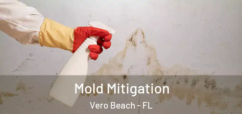 Mold Mitigation Vero Beach - FL