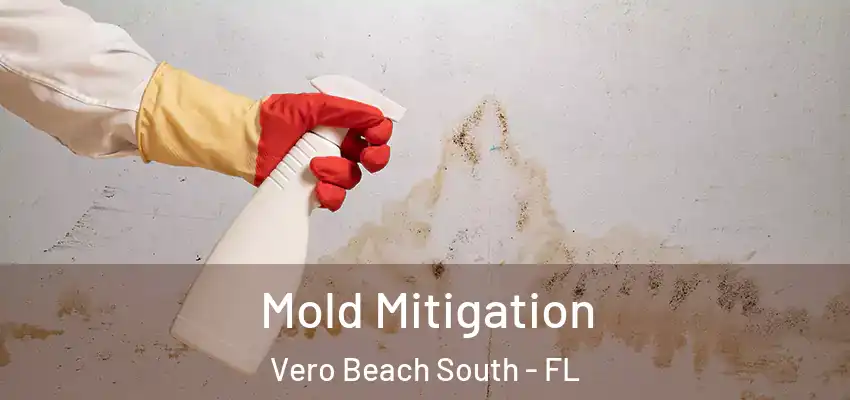 Mold Mitigation Vero Beach South - FL