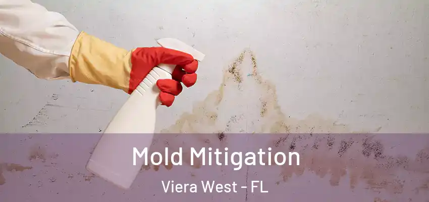  Mold Mitigation Viera West - FL
