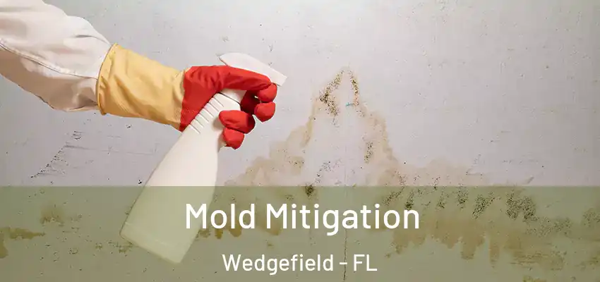  Mold Mitigation Wedgefield - FL