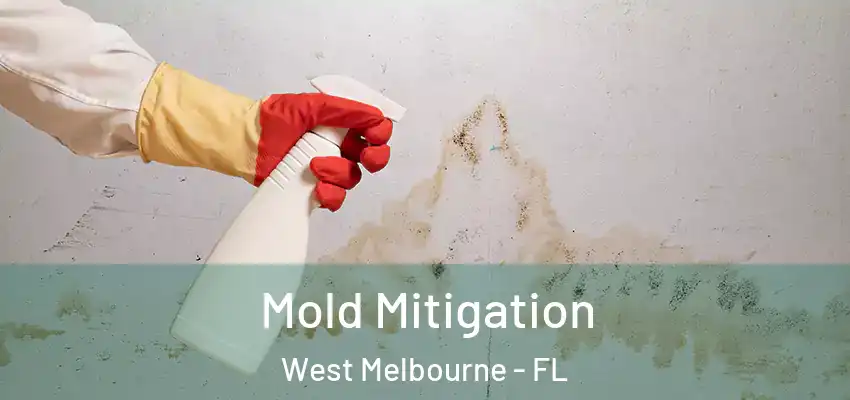 Mold Mitigation West Melbourne - FL
