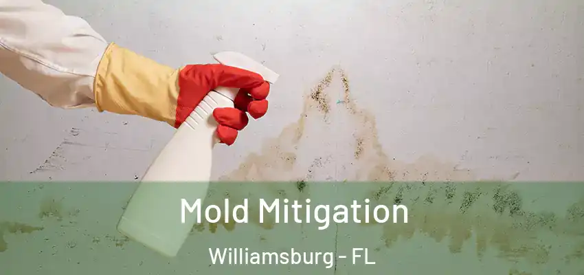  Mold Mitigation Williamsburg - FL