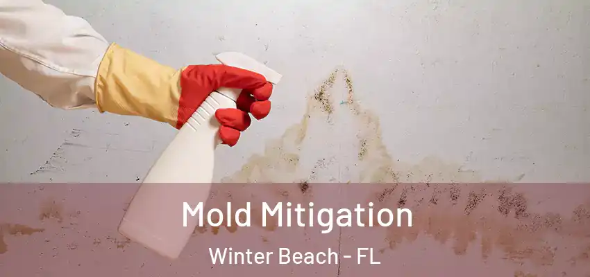  Mold Mitigation Winter Beach - FL