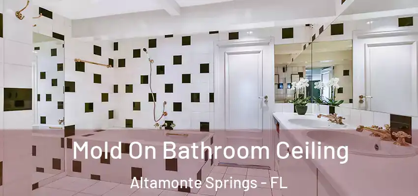  Mold On Bathroom Ceiling Altamonte Springs - FL