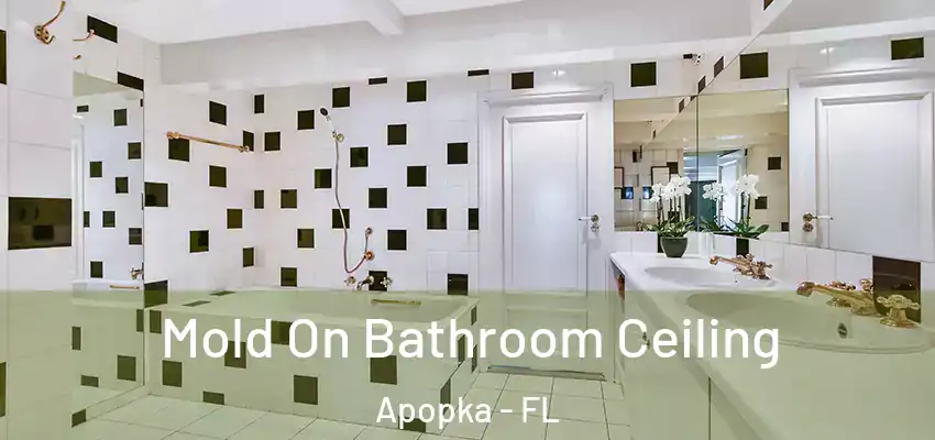 Mold On Bathroom Ceiling Apopka - FL