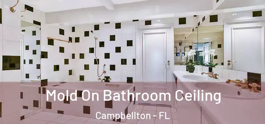  Mold On Bathroom Ceiling Campbellton - FL