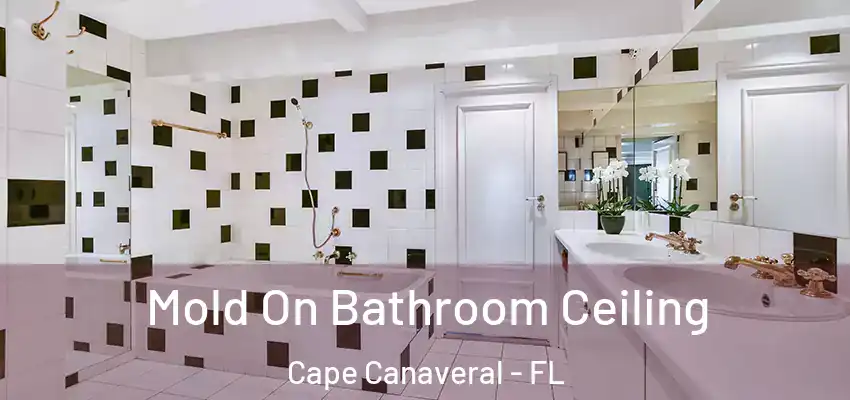  Mold On Bathroom Ceiling Cape Canaveral - FL